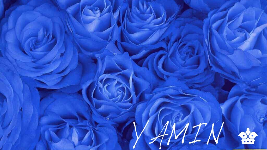 Picsart banner for @yamin