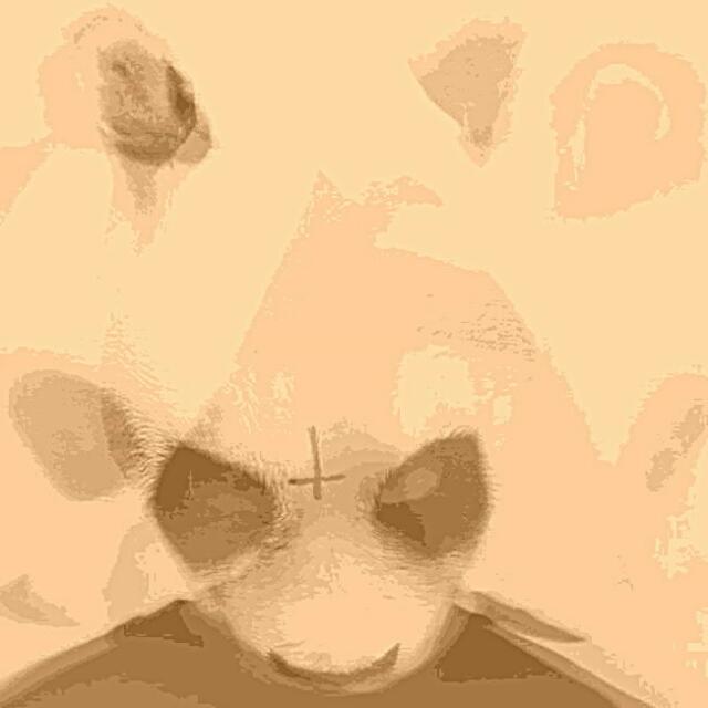 Picsart profile picture for @sandra